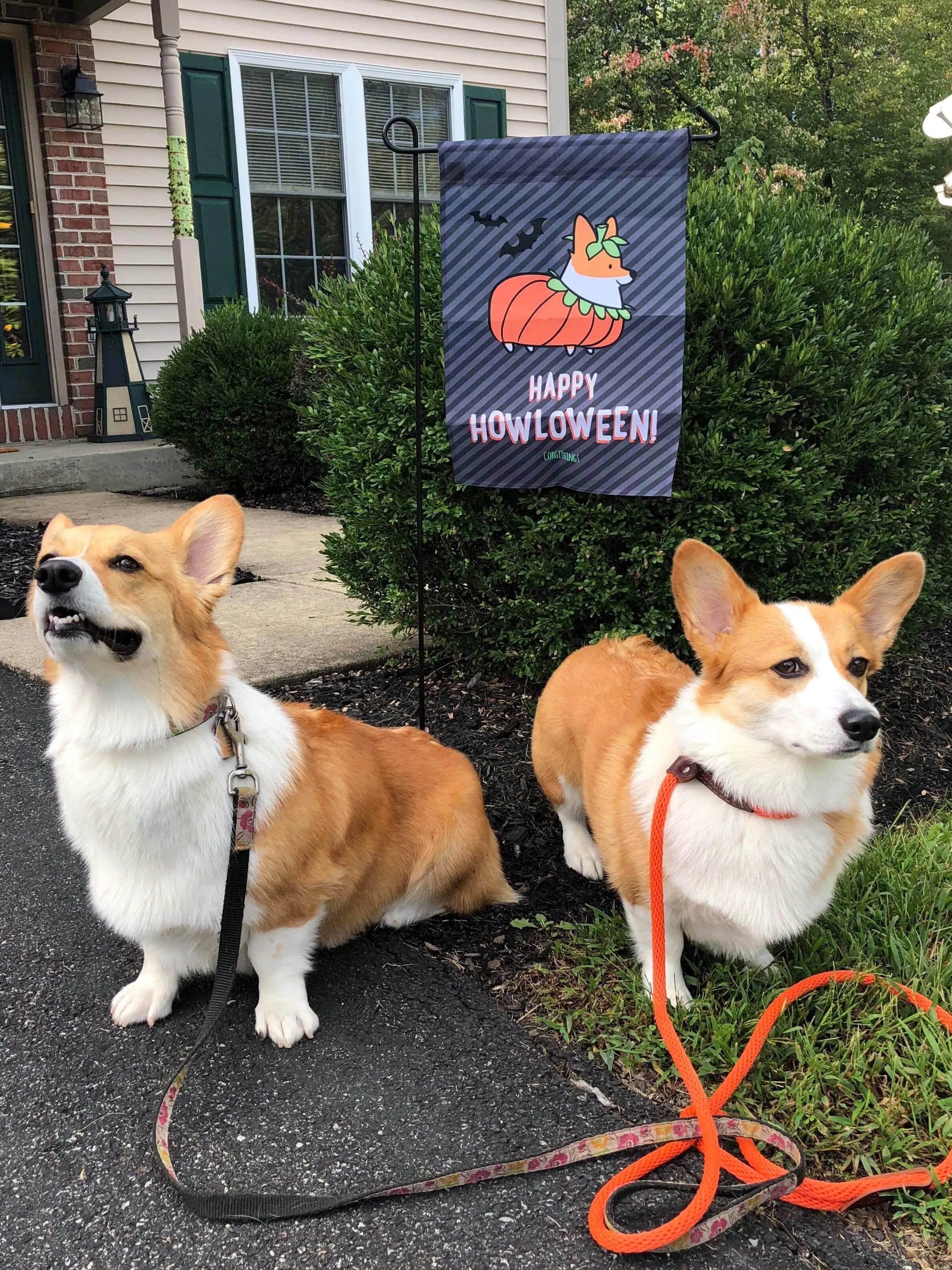 "Corgi Howloween Pumpkin" Garden Flag | Halloween Collection