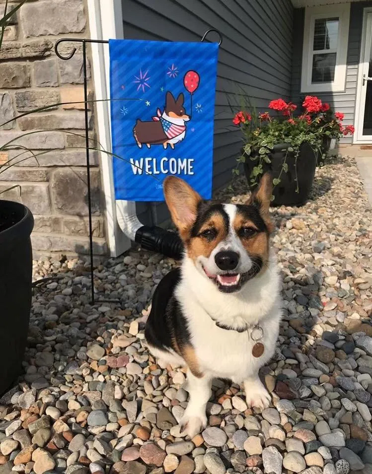 "Corgmerica" Corgi Garden Flag