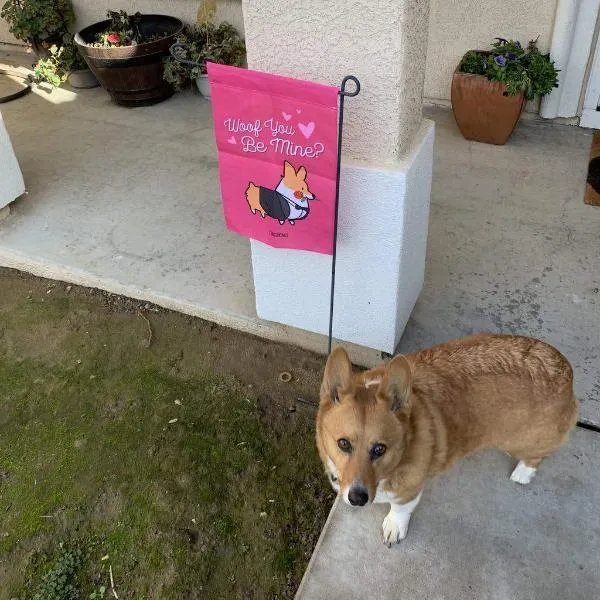 "Woof You Be Mine" Corgi Garden Flag